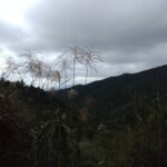 レス3番の画像5