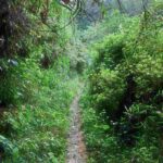 レス3番の画像1