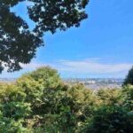 レス2番の画像8