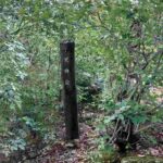 レス4番の画像4