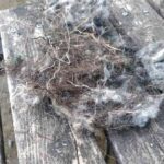 レス42番の画像1