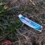 レス23番の画像1