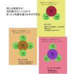 レス1番のリンク先のサムネイル画像