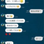 レス23番の画像1