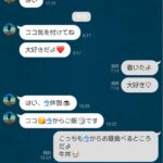 レス13番の画像1