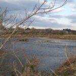 レス4番の画像1