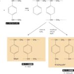 レス21番の画像1