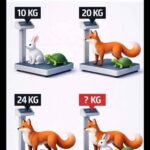 レス2番の画像1