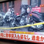 レス1番の画像1