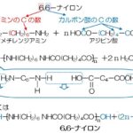 レス6番の画像2