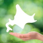 レス1番のリンク先のサムネイル画像