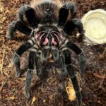 レス14番の画像1