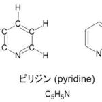 レス43番の画像1