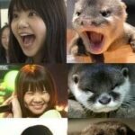 レス29番の画像1