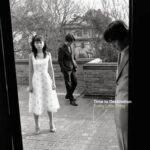 レス5番の画像1