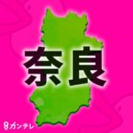 レス1番のリンク先のサムネイル画像