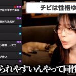 レス1番の画像2