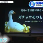 レス2番の画像2