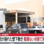 レス1番のリンク先のサムネイル画像