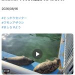 レス27番の画像1