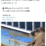 レス34番の画像2