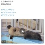 レス27番の画像2