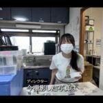 レス2番の画像2