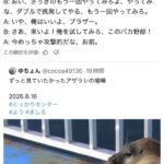レス34番の画像3