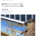 レス34番の画像1