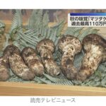 レス2番の画像1
