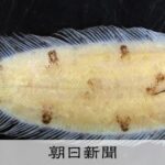 レス1番のリンク先のサムネイル画像
