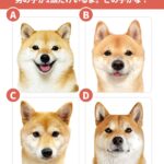 レス2番の画像1