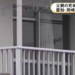 レス1番のリンク先のサムネイル画像