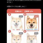 レス7番の画像1